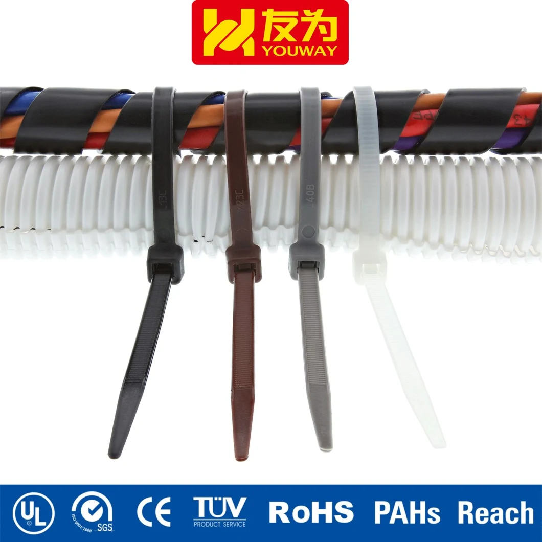 Self Locking Cable Tie for Industrial and Underground Application